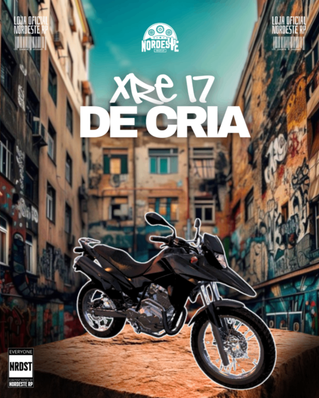 XR3 317