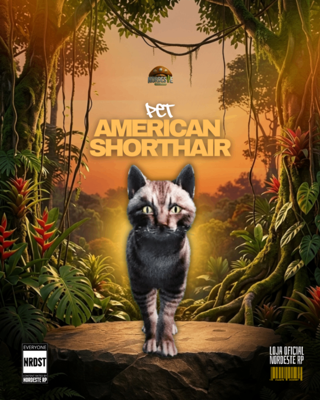 Gato Americano Preto