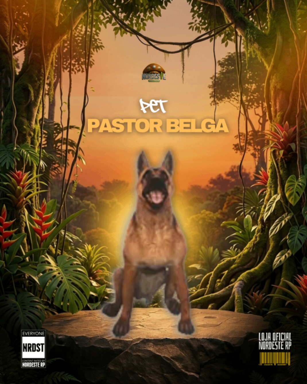 Malinois Belga