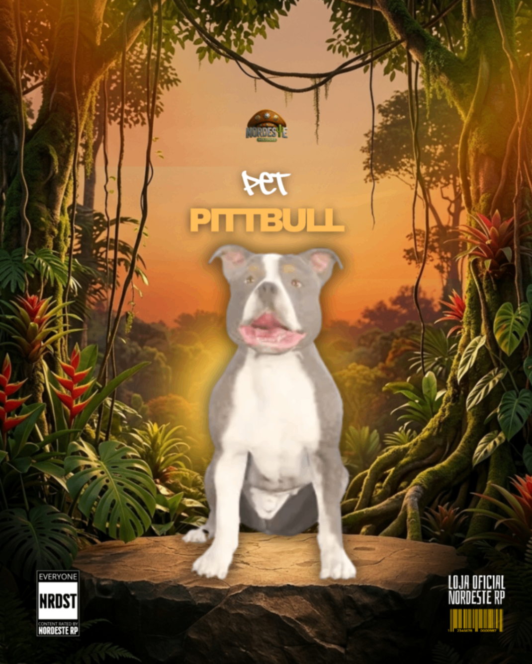 Pit Bull Cinza