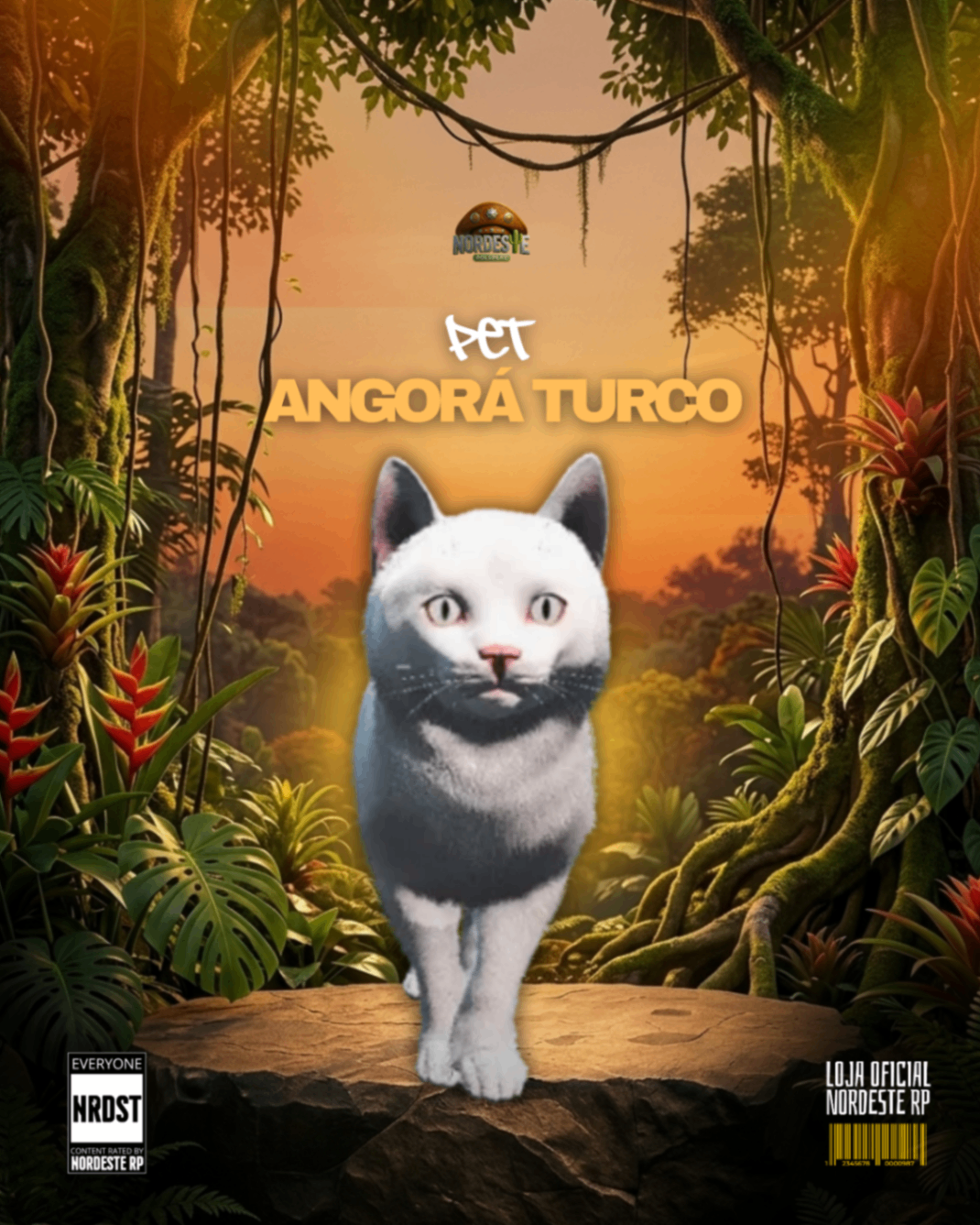 Gato Turco Neve 1